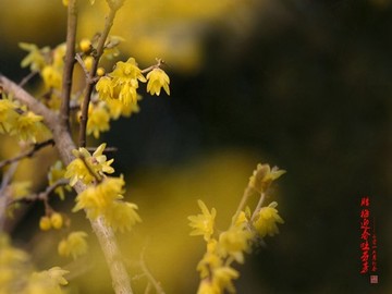 花溪区私人电影院