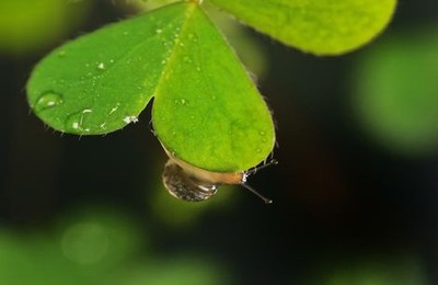 调数校花小说